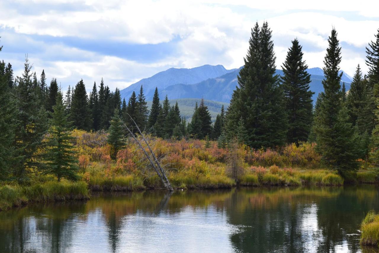 Rocky Mountain Escape Dome & Log Cabin Rentals - Rock Lake Rock Lake Lodge Provincial Park Ngoại thất bức ảnh