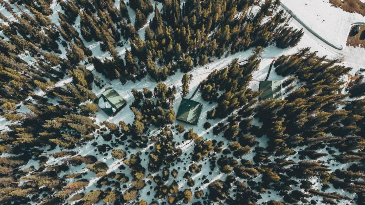Rocky Mountain Escape Dome & Log Cabin Rentals - Rock Lake Rock Lake Lodge Provincial Park Ngoại thất bức ảnh