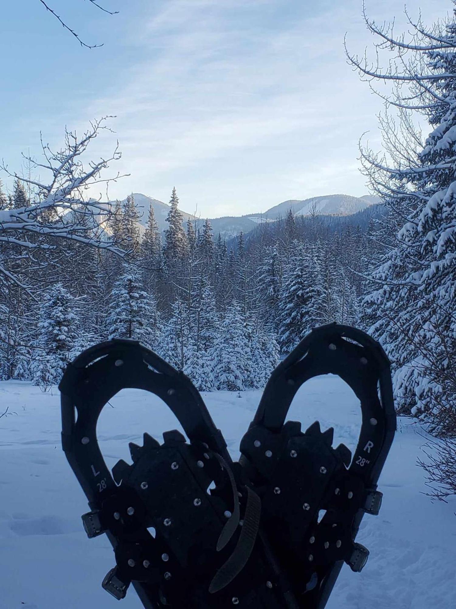 Rocky Mountain Escape Dome & Log Cabin Rentals - Rock Lake Rock Lake Lodge Provincial Park Ngoại thất bức ảnh